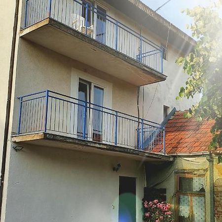 Bed and Breakfast Vila Lav Sokobanja Экстерьер фото